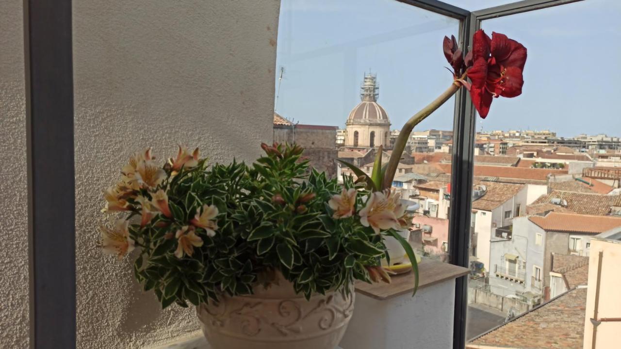 Sogno Etneo Bed and Breakfast Κατάνια Εξωτερικό φωτογραφία